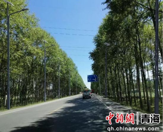 图为大通农村公路。大通县委宣传部 供图