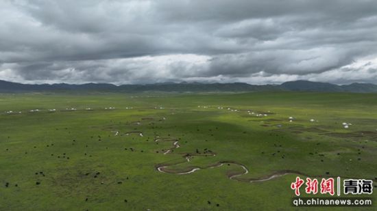 图为盛夏的河南县牧区。桑吉杰供图