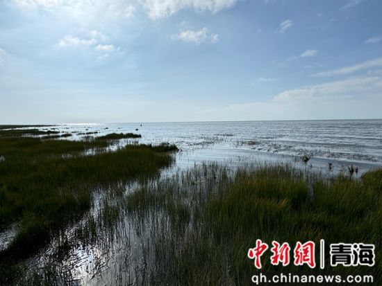 图为仙女湾景区内湿地风光。潘雨洁 摄