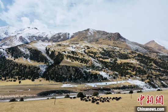 资料图为航拍三江源国家公园澜沧江园区雪后美景。李江宁 摄