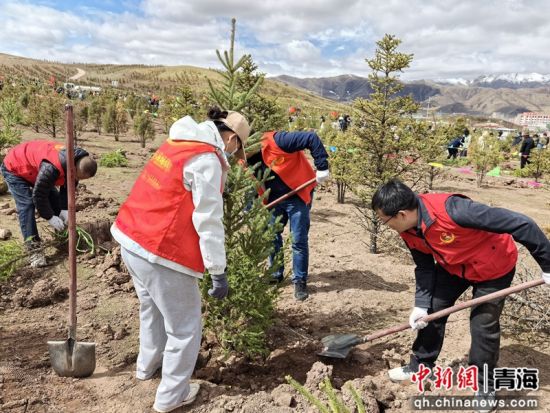 图为青海省烟草专卖局(公司)职工开展植树活动。青海省烟草专卖局(公司)供图