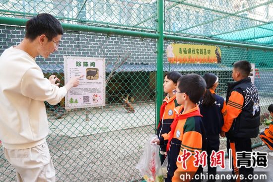 图为西宁市文逸小学教师向学生介绍动物生活习性相关知识。 马铭言 摄